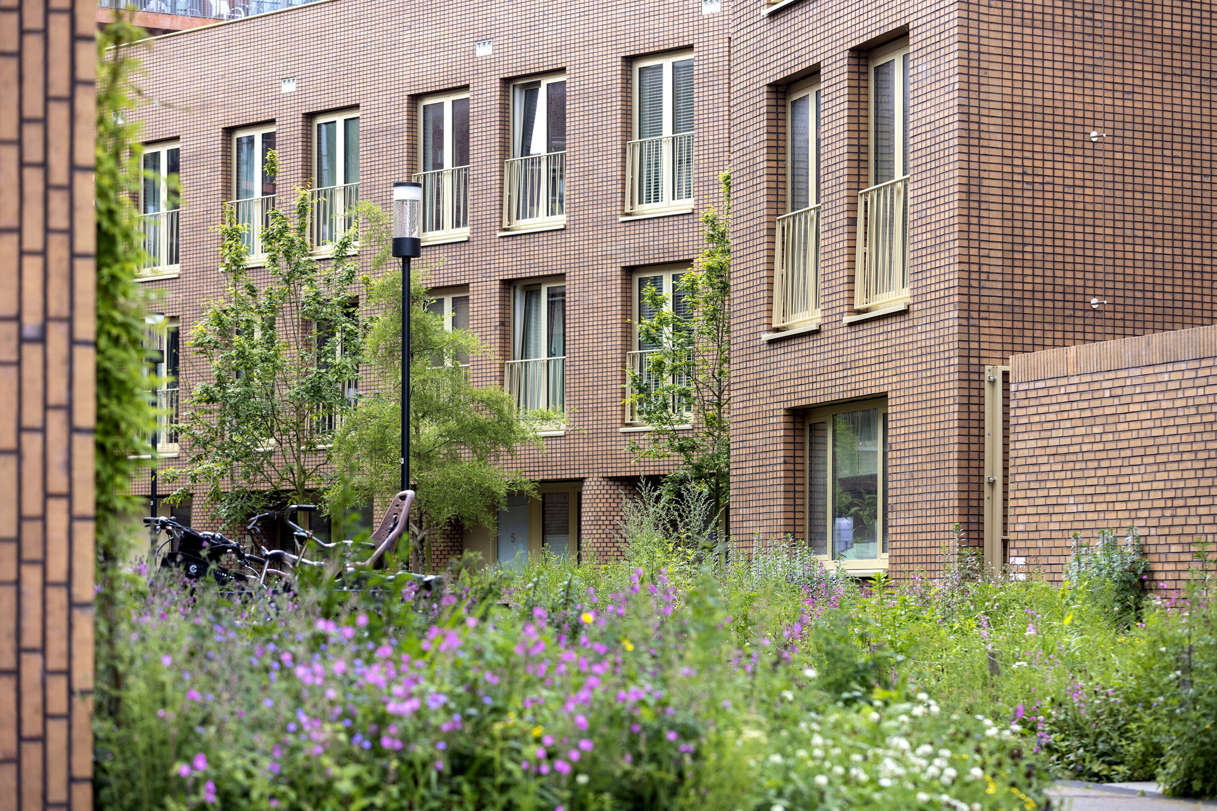 Nijmegen_Hart-van-de-Waalsprong_-155-woningen_Janssen-de-Jong-Bouw-2